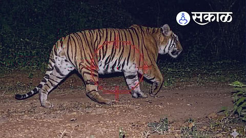 kalamma devi temple yatra sahyadri forest area