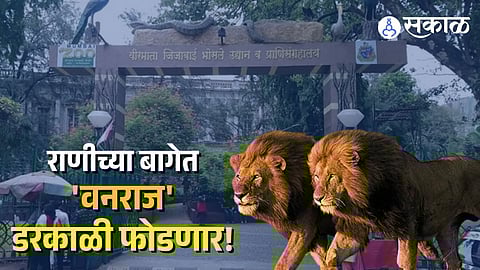 Mumbai Byculla Zoo