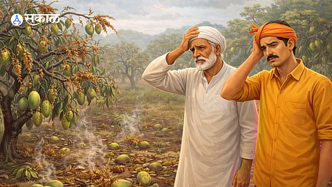 Climate Change imapact on Mango