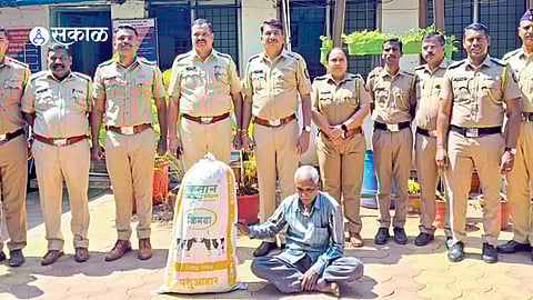 Police seize cannabis plants 