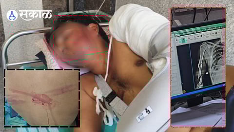 Beed Maharashtra crime news today