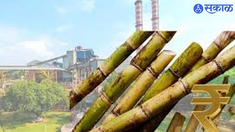 Mounting Cane Dues Spark Farmers’ Outrage in Solapur district