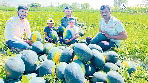 Karegaon Farmers Earn Lakhs from Watermelon Cultivation, Move Away from Traditional Crops