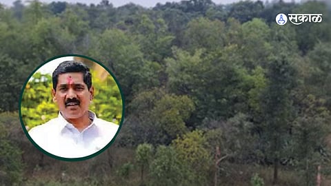 Beed Nagar Van Scheme