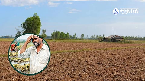 Kandhar Farm Labour Shortage, Rising Wages, Farmers Crisis