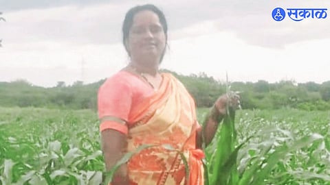 Woman Farmer Finds Success in Broccoli and Zucchini Cultivation
