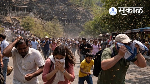 why bees attacked tourists at ajanta caves
