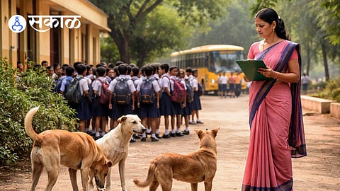 can teachers control stray dogs in schools