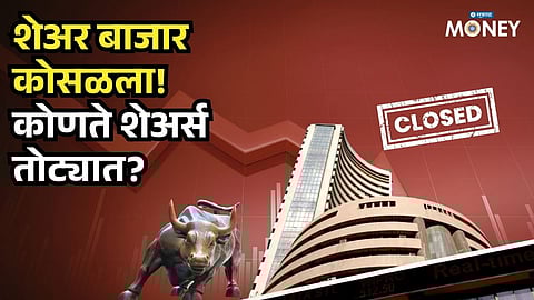 Stock Market Crash Today: Sensex, Nifty Fall Sharply but These Stocks Defy the Trend