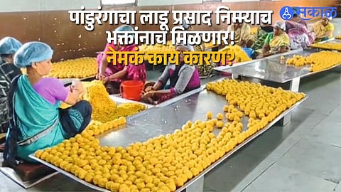 Devotees Face Limited Laddu Prasad at Pandharpur Temple Due to Cooking Gas Shortage