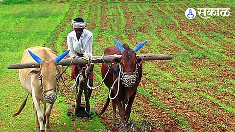 Maharashtra Farmers