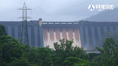 koyna dam irrigation impact sangli farmers