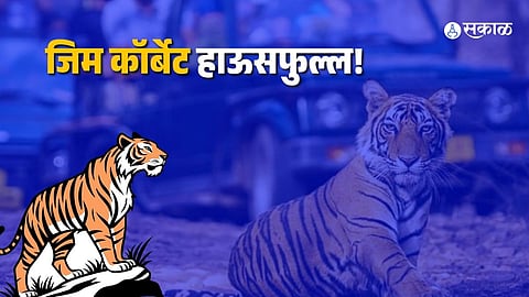 jim corbett tiger safari booking