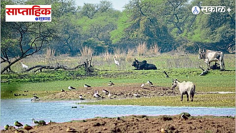 Rajasthan and Agra Tourism Places