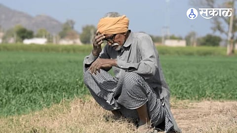 Palghar Farmers Face Crisis