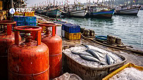 Fishing boats docked