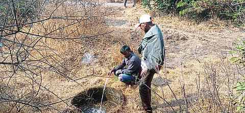 कास - कास परिसरात वन्यप्राण्यांसाठी चाळीस पेक्षा जास्त पाणवठे
