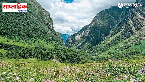 Indian Wildlife Reserves and Rajput Fort Architecture 