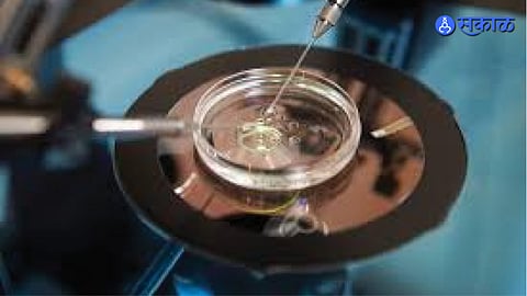 IVF Centers 