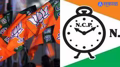 Satara Panchayat Results: BJP Strengthens Hold, Mixed Outcome Across Talukas