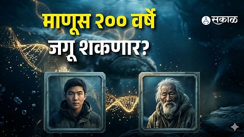 Can Humans Live 200 Years? Scientists Discover DNA Repair “Master Key” in Whales