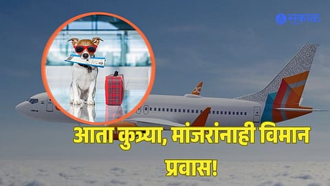 aviation Rules For Pets