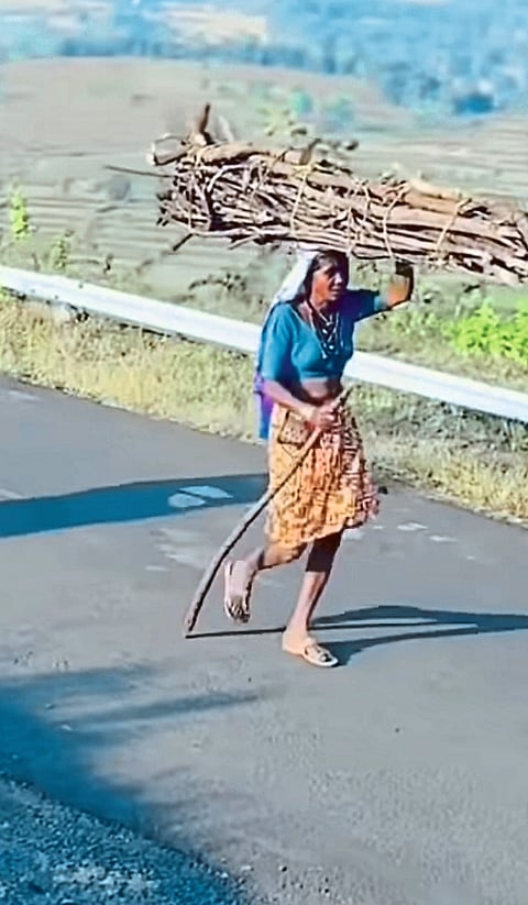 सरपणासाठी महिलांची भटकंती