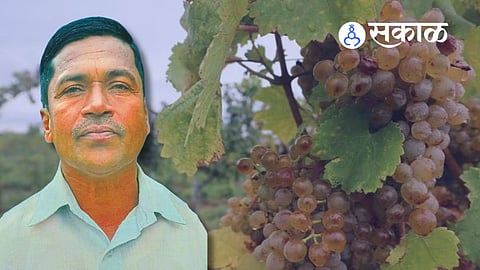 Maharashtra farmer death due to crop loss