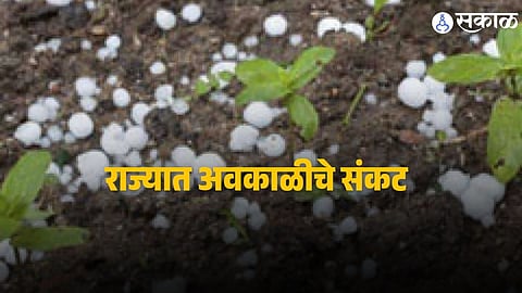 Maharashtra Weather Update : राज्यात अवकाळी अन् गारपिटीचे संकट, ७ जिल्ह्यांना अलर्ट जारी; पुढील २ दिवस धोक्याचे