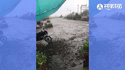 Akola Unseasonal Rain