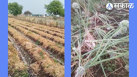 Panic in Nillod Region Severe Unseasonal Hailstorm