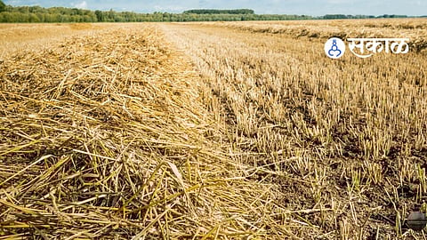 Chhatrapati Sambhajinagar News