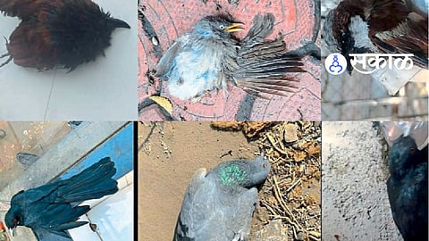 Chhatrapati Sambhajinagar