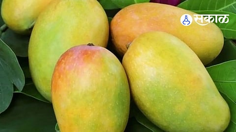 Chhatrapati Sambhajinagar News