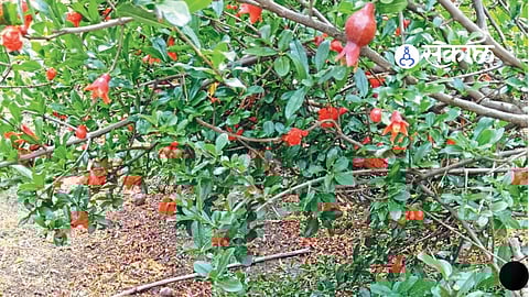 Chhatrapati Sambhajinagar: