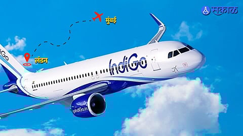 IndiGo Controversy Flight Diverted to Egypt Passengers Allege Mismanagement