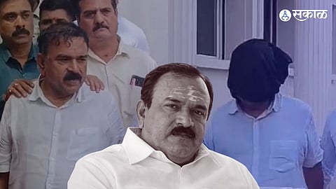 Fake Snakes and Tiger Skins Used in Black Magic