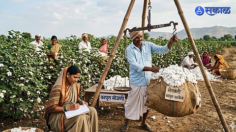 Cotton Production