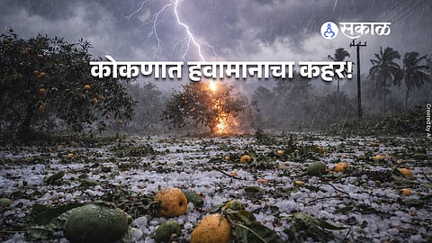 mango cashew damage Konkan