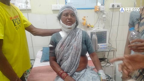 Tiger Attack in Sakoli: 60-Year-Old Woman Farmer Critically Injured
