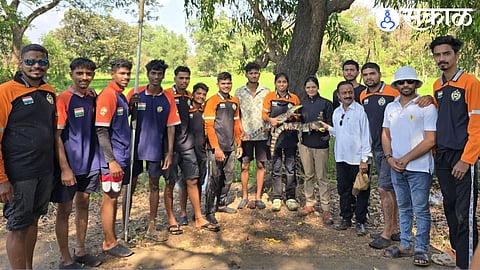 Crocodiles Found Living in Potholes of Mumbai-Goa Highway
