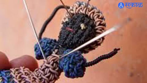 Black Magic Allegations Lead to Arrest of Son-in-Law in Devlali Pravara