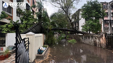 magarpatta road tree collapse by rain