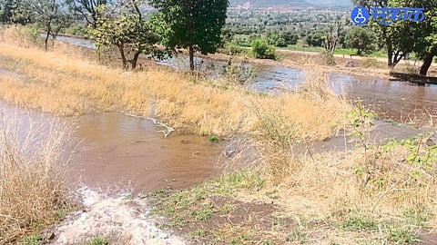 Lakhs of Litres Wasted from Tarli; Crop Damage Sparks Farmers’ Anger