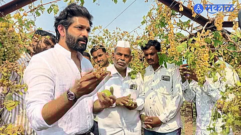 Amit Thackeray Surveys Crop Loss in Mohol Taluka, To Raise Compensation Demand
