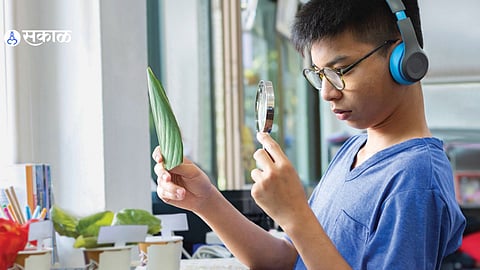 The Essence of Vijnanamaya Kosha: Developing Intellect and Wisdom