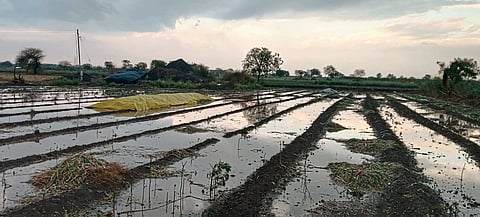 शिरूरच्या पूर्व भागाला झोडपले