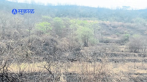 environmental damage