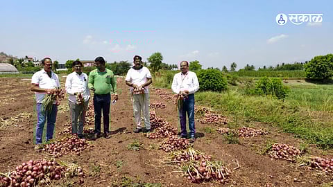Natural Calamity: Hailstorm Devastates 35 Villages in Junnar Taluka