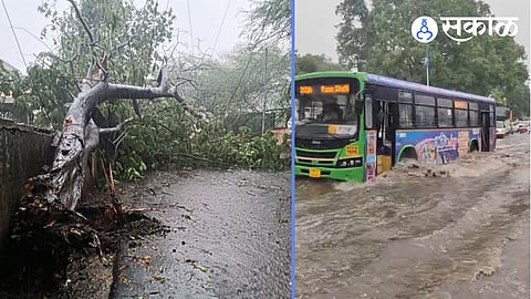 tree collapse in mundhwa by Unseasonal Rain